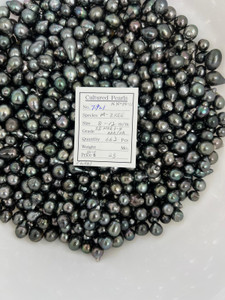 Tahiti - 8 - - 12mm - SS MKK 3-4 AAA/AA - T-921