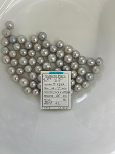 South Sea White - 12 - - 15mm - SH SILV 3-4 AAA/AA - <TAG> - S-6793