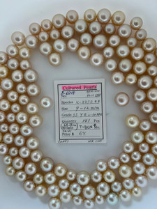 South Sea Natural Gold - 9 - - 12mm - SS Y R 2-3+ AAA - S-6835