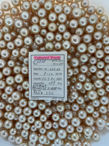 South Sea Natural Gold - 9 - - 12mm - SS Y R 1- AAA ( 1/ 3 ) - S-6838