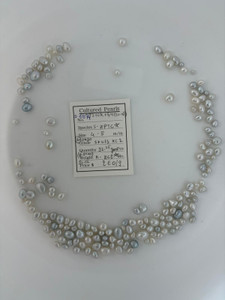 South Sea White - 4 - - 8mm - (BH) INDO S+W/S KC 2 - S-6874