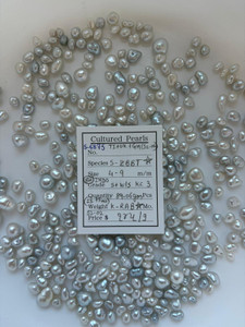 South Sea White - 4 - - 9mm - (BH) INDO S+W/S KC 3 - S-6875