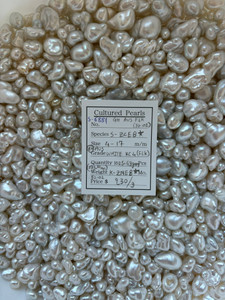 South Sea White - 4 - - 17mm - (BH) AUS WHITE KC 4 (FLK) - S-6881