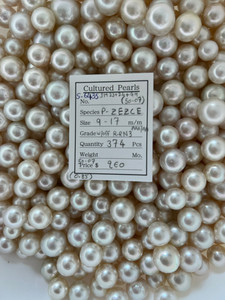 South Sea White - 9 - - 17mm - W/OFF R-RN 3 AAA/AA - <TAG> - S-6435