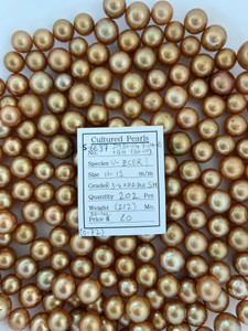 South Sea Dyed Gold - 11 - - 15mm - R 3-4 AAA/AA SH ( 2 / 2 ) - <TAG> - S-6637