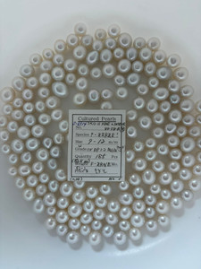 South Sea White - 9 - - 12mm - W OVDP 1-2 AAA/AA (M3+) - <TAG> - S-6914