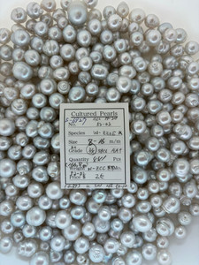 South Sea White - 8 - - 16mm - BS SBCL 3/4 AA+ - <TAG> - S-6927