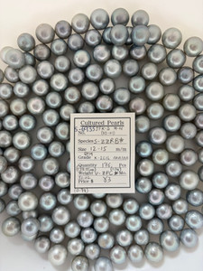 South Sea White - 12 - - 15mm - GTM K - 2L1L AAA/AA ( 1 / 4 ) - S-6935