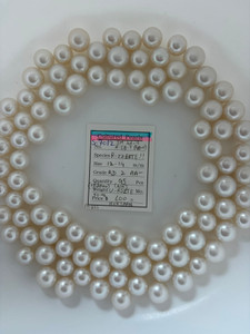 South Sea White - 12 - - 14mm - RD 2 AA- ( 4 / 4 ) - <TAG> - S-7012