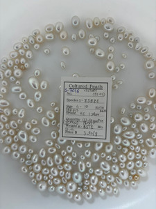 South Sea White - 4 - - 10mm - (BH) AUS KC 1 SROV AAA ( 2 / 2 ) - S-7016