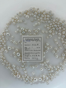 South Sea White - 4 - - 11mm - (BH) AUS WHITE TOP BU AAA - S-7017