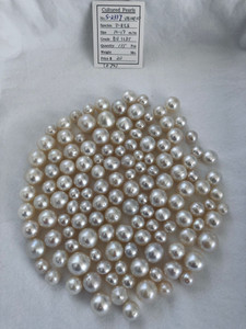 South Sea White - 10 - - 17mm - BU IL/DTA - <TAG> - S-2337