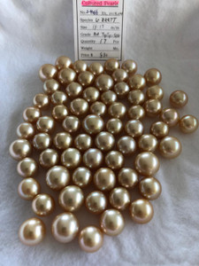 South Sea Natural Gold - 13 - - 17mm - "LG" SRD 1 - <TAG> - S-4066