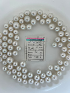 South Sea White - 12 - - 16mm - WS R-RN 1-2/2 AAA/AA - <TAG> - S-5965