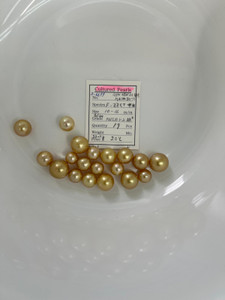 South Sea Natural Gold - 10 - - 16mm - G/LG RNSR 1-2 AA+ - <TAG> - S-6699