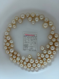 South Sea Natural Gold - 9 - - 17mm - LY RN 1 GEM AAA - <TAG> - S-6981