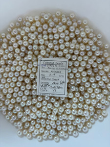 South Sea White - 8 - - 9mm - LK R-RN TAA+ ( 1 / 2 ) - S-7123