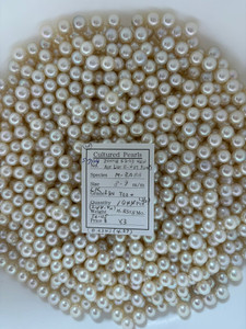 South Sea White - 8 - - 9mm - LK R-RN TAA+ ( 2 / 2 ) - S-7124