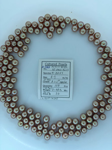 South Sea Dyed Gold - 8 - - 9mm - LT ORG R 1-2++ AAA/AA - S-7163