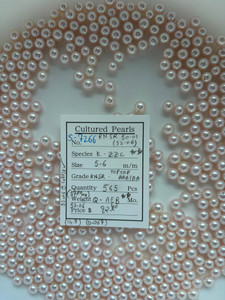 Akoya - 5 - - 6mm - RNSR TOPTOP AAA/AA - S-7266
