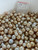 South Sea Natural Gold - 8 - - 17mm - G/LG/Y MMSB 6L3L - S-5909