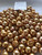 South Sea Dyed Gold - 12 - - 17mm - BQ  = TAIL - <TAG> - S-4943