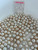 South Sea Natural Gold - 8 - - 14mm - Y/C OVDPTD 2/3+ AAA - S-6514