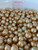 South Sea Natural Gold - 8 - - 18mm - LG/Y OVDP 4-5 SCR  - S-6596