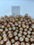 South Sea Dyed Gold - 12 - - 17mm - SBKCL 4 - S-6924