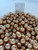 South Sea Dyed Gold - 12 - - 17mm - SBK 1-2 ( 2 / 3 ) - <TAG> - S-6920