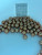 South Sea Dyed Gold - 9 - - 17mm - DK R 2 AAA/AA (M3+) - S-7170