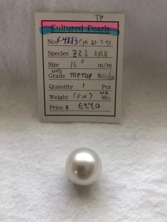 South Sea White - 16 - - 17mm - W/S TOPTOP AAA/AA - <TAG> - S-4883