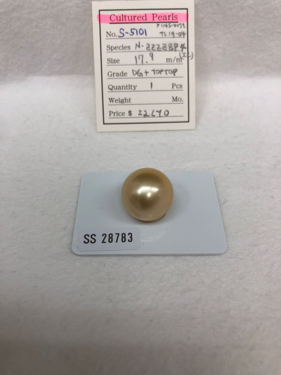 South Sea Natural Gold - 17 - - 18mm - DG+ TOPTOP - S-5101