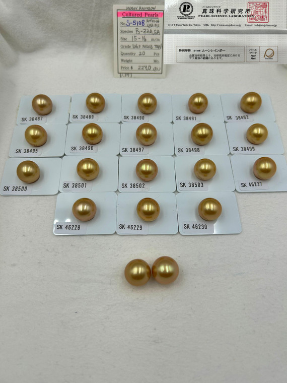 South Sea Natural Gold - 15 - - 16mm - DG+ RNSRB TOP/1 - S-5108