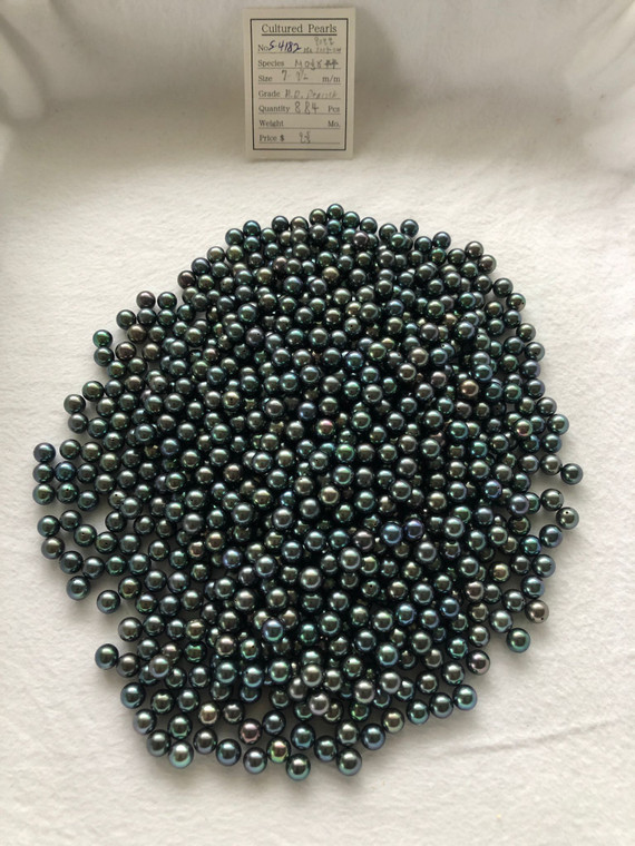 Akoya - 7 - - 7.5mm - H.D. Peacock (Dyed Black) - <TAG> - S-4182