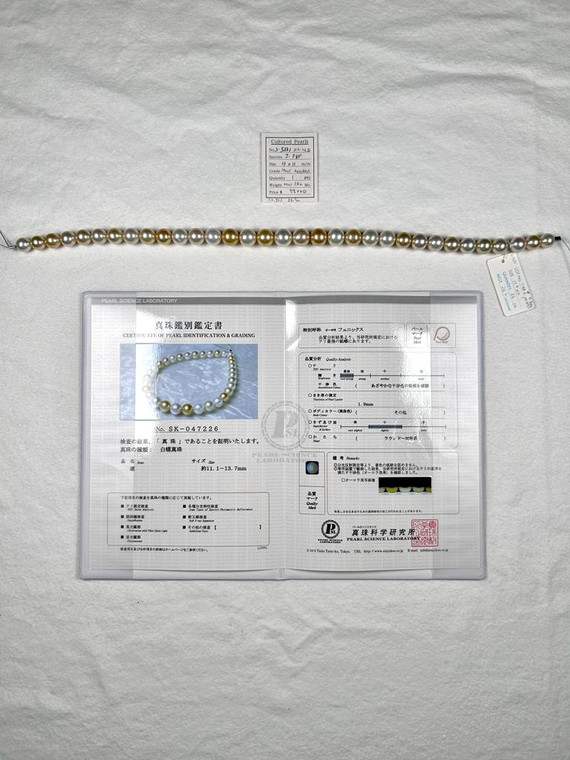 Necklace - Phoenix 11 - - 13mm - MULTI Gem/AAA PHX - S-5231