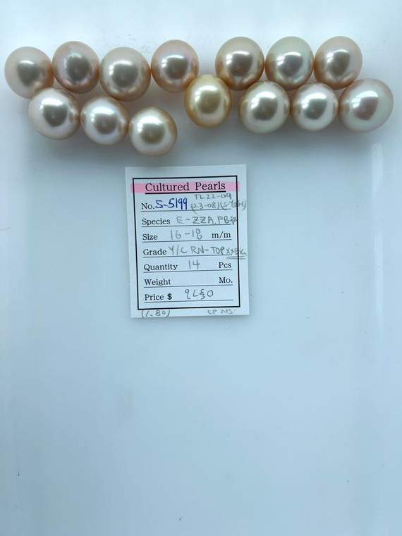South Sea Natural Gold - 16 - - 18mm - Y/C RN- TOP XXBIG - S-5199