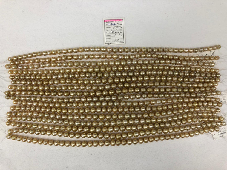 Necklace - South Sea Natural Gold 8 - - 12mm - COGSDG MMOV 2L - <TAG> - S-5016