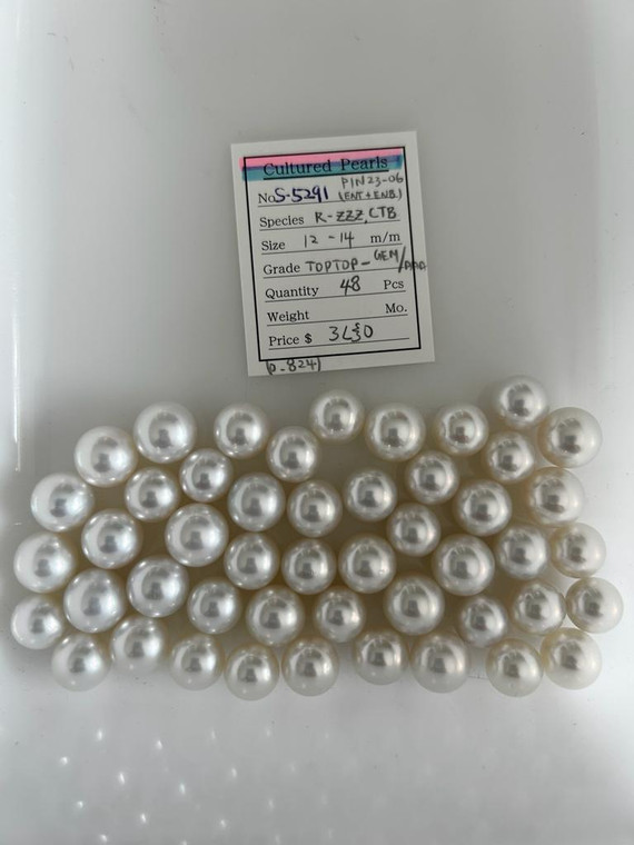 South Sea White - 12 - - 14mm - W/P TOPTOP- GEM/AAA - S-5291