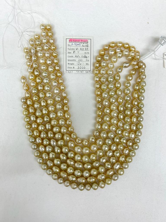 Necklace - South Sea Natural Gold 8 - - 11mm - LG/Y CL/SB- - S-5347