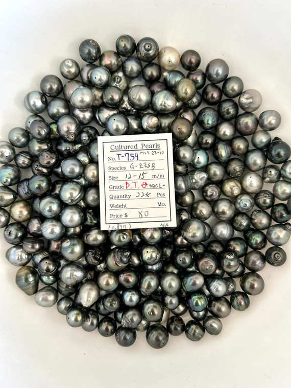 Tahiti - 12 - - 15mm - SBCL- D.T.  (全孔) - T-759