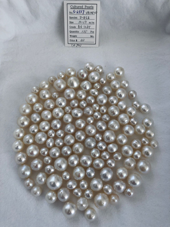 South Sea White - 10 - - 17mm - BU IL/DTA - <TAG> - S-2337