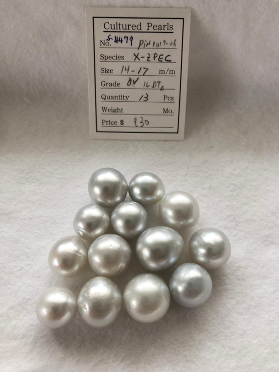 South Sea White - 14 - - 17mm - OV 1LDTA - <TAG> - S-4479