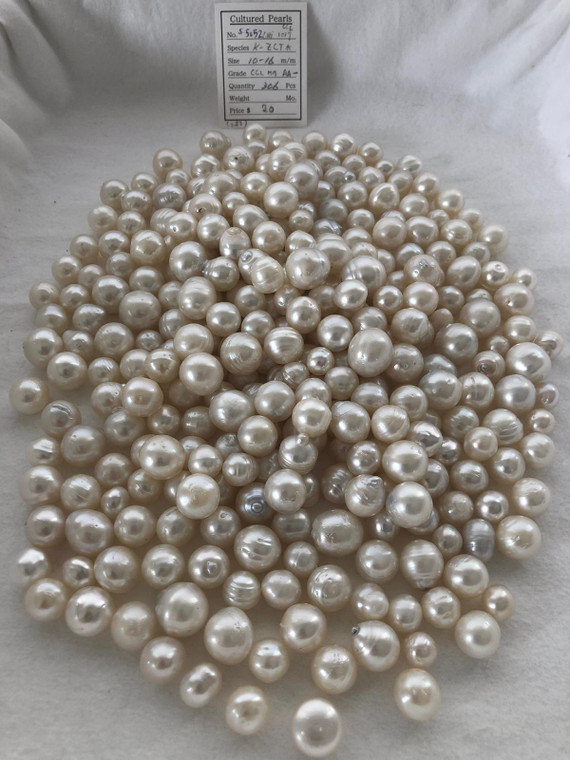 South Sea White - 10 - - 16mm - CCL MM AA- - <TAG> - S-5052