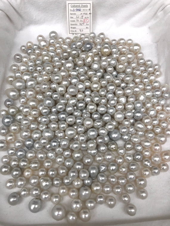 South Sea White - 12 - - 19mm - TD 2L D.T. (全孔) - <TAG> - S-5060