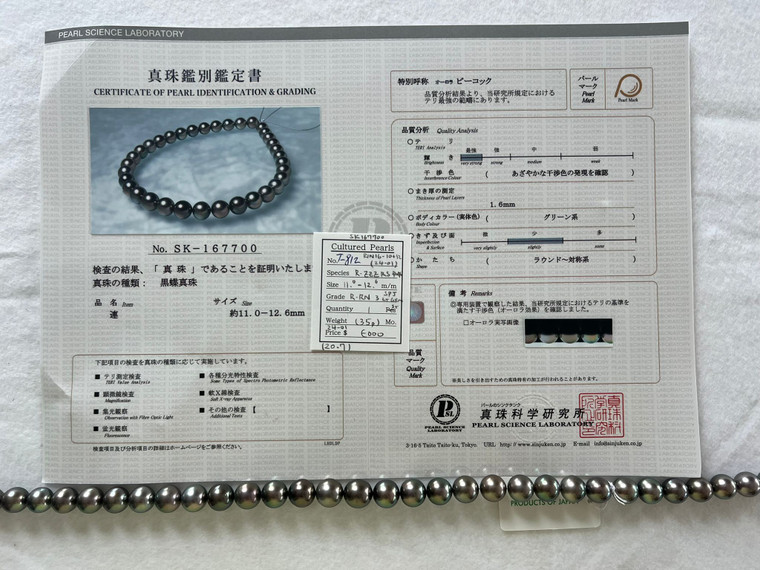 Necklace - Tahiti SK 11.0 - - 12.6mm - R-RN 3 SPJ LT GRN - T-812