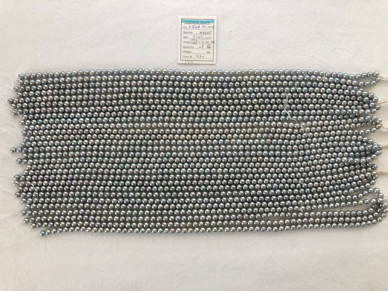 Necklace - Akoya 6.5 - - 7.0mm - Dyed Gray IV R AB TAA - <TAG> - S-5004