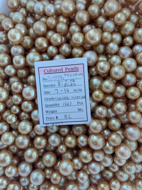 South Sea Natural Gold - 7 - - 16mm - COGSDG 1L/DTAB - S-5796