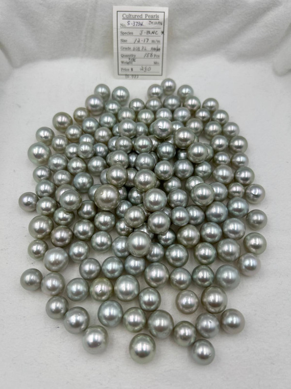 South Sea White - 12 - - 17mm - GTM 3L AAA/AA (SIZE) - <TAG> - S-3734