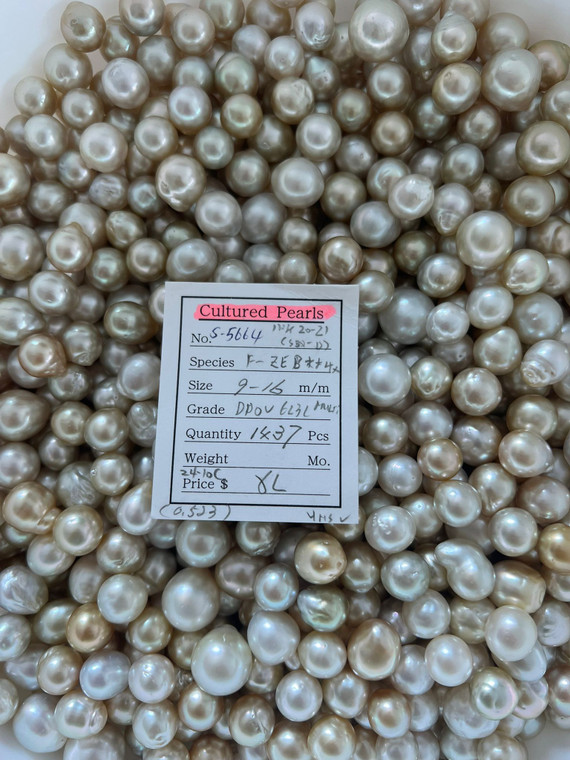 South Sea Natural Gold - 9 - - 16mm - DPOV 6L3L Multi - S-5664